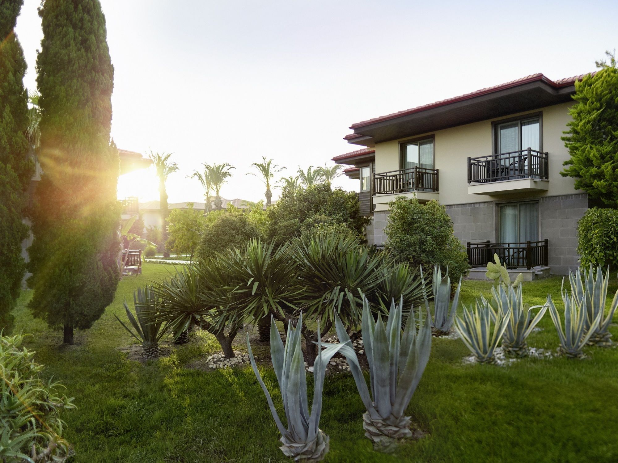 מלון סייד Tui Blue Palm Garden מראה חיצוני תמונה